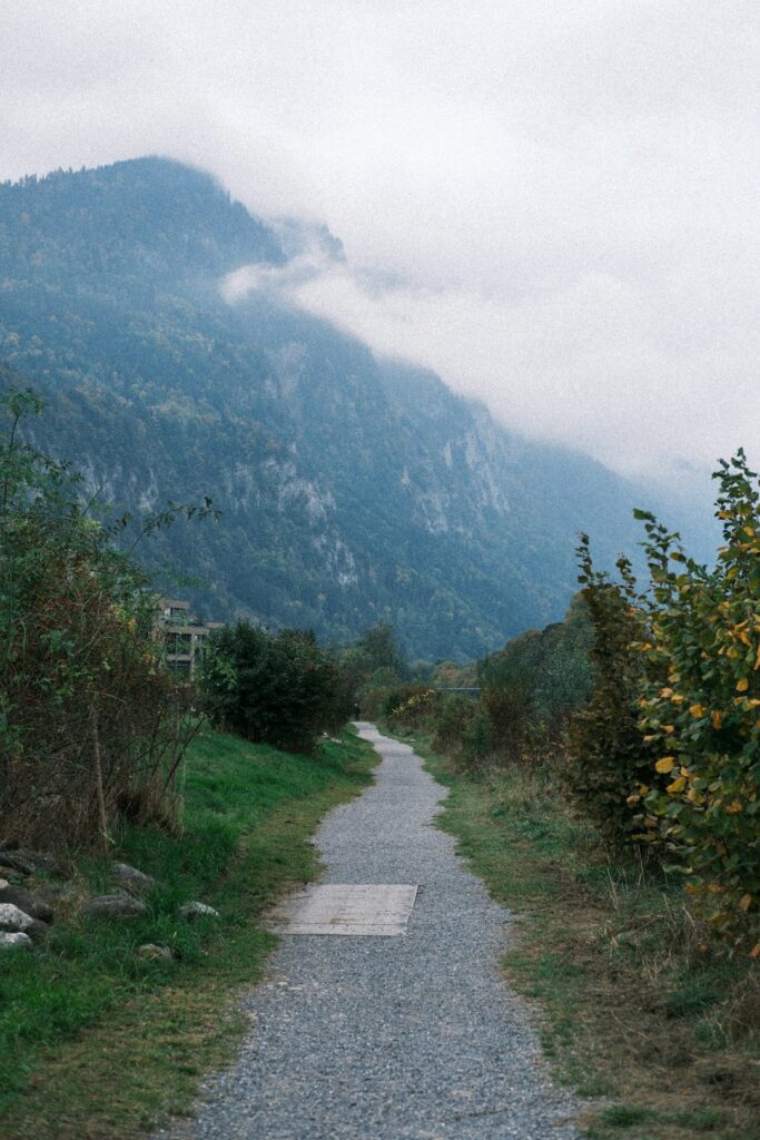 A gravel path leading towards misty mountains