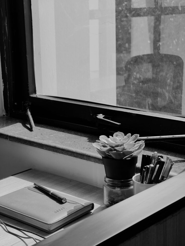 An open notebook and a pen beside a small plant on a desk by a sunny window